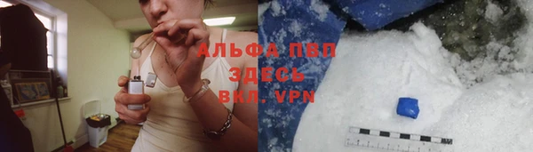 spice Снежногорск